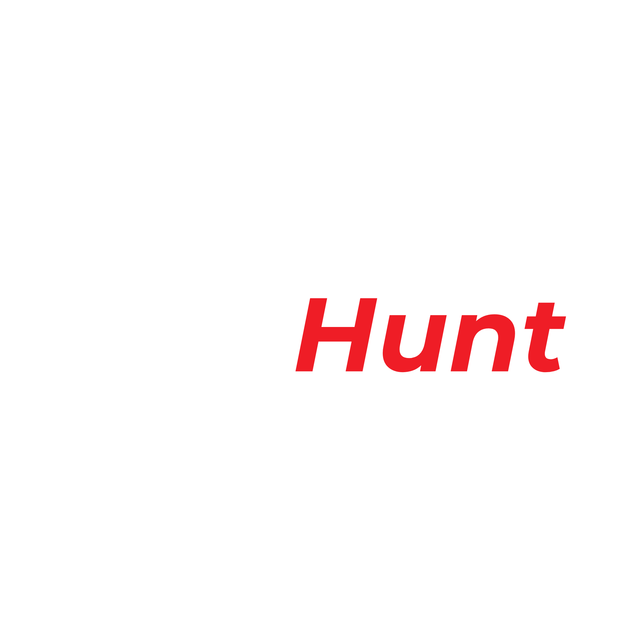 CarHunt Logo